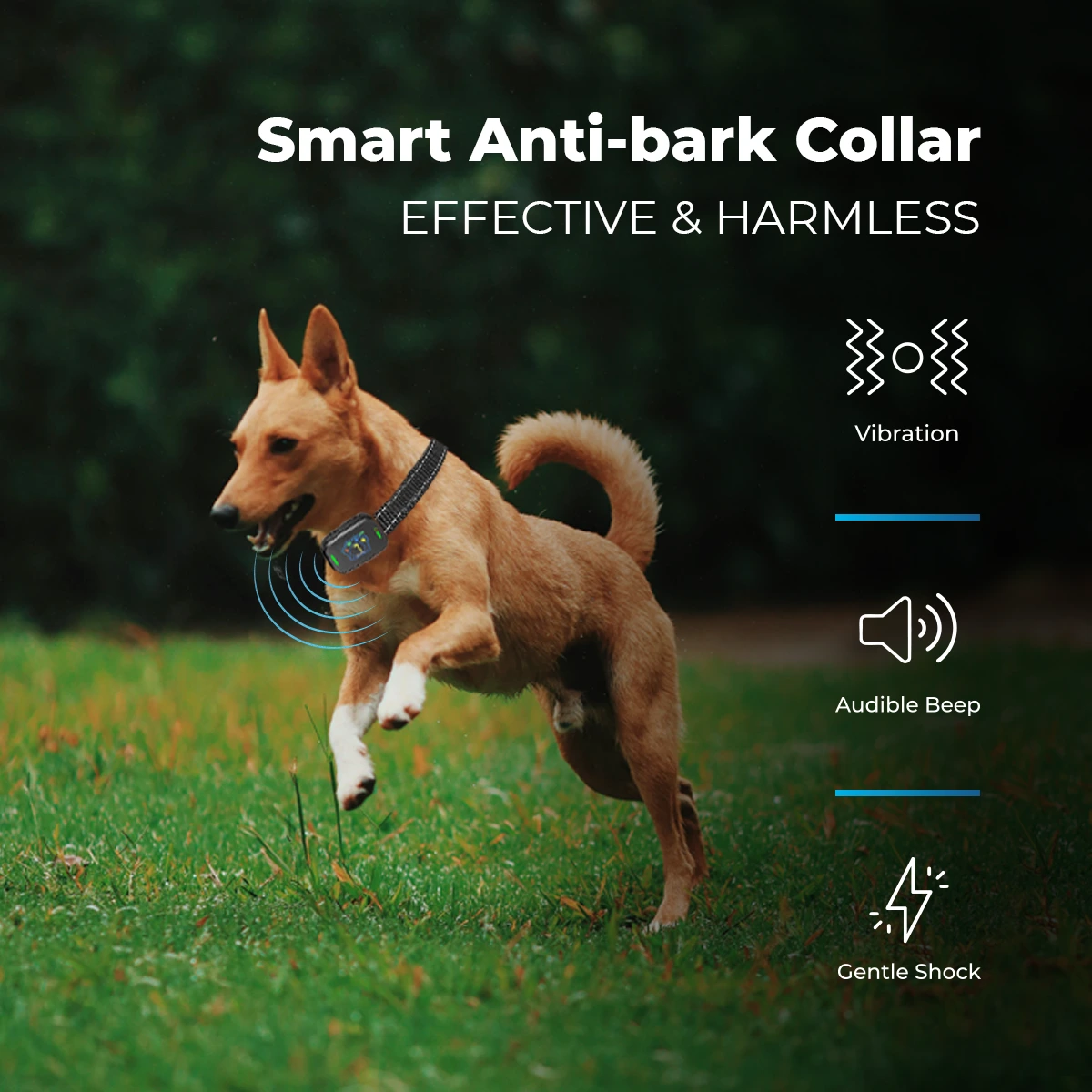 AutoSky Pets Smart Anti-Barking Collar with Adjustable Sensitivity and 5 Modes - APC 200 LEVELS
